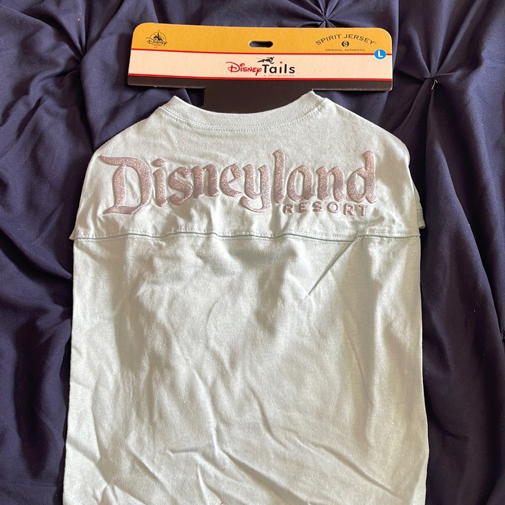 Disney tails spirit jersey